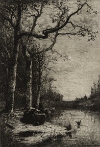De Burbanche Marsh (grote plaat), c.1870 door Adolphe Appian