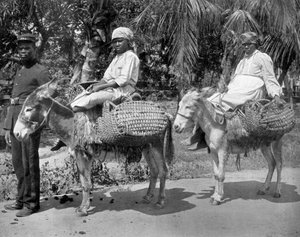 Op weg naar de gevangenis, Jamaica, ca. 1905 door Adolphe Duperly and Son