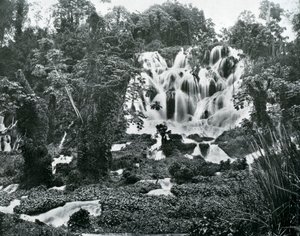 Roaring River Falls, Jamaica, ca. 1905 door Adolphe Duperly and Son