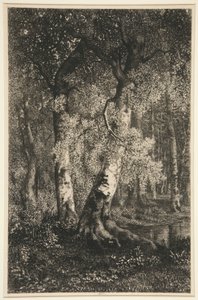 De Beuken door Adolphe Martial Potemont