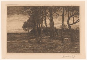 Landschap met bomen Avond