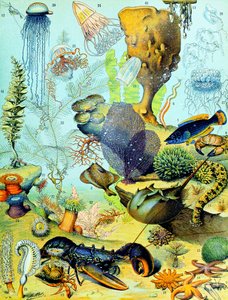 Illustratie van een onderwaterscène, ca. 1923