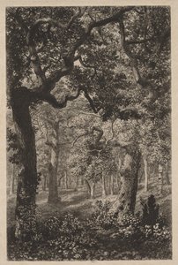 In het Bos