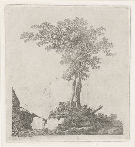 Twee bomen