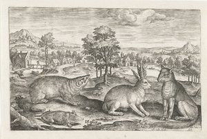 Bosdieren door Adriaen Collaert