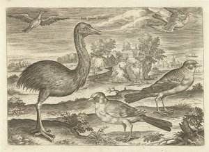 Enkele vogels in een landschap door Adriaen Collaert