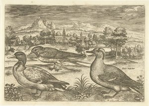 Enkele vogels in een landschap door Adriaen Collaert