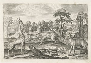 Exotische dieren door Adriaen Collaert