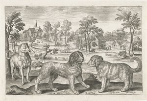 Honden door Adriaen Collaert