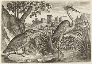  door Adriaen Collaert