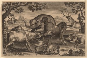 Leeuw, stier, vos, wolf, hond, everzwijn, geit, paard, olifant en hert door Adriaen Collaert