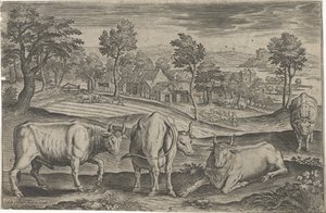 Runderen door Adriaen Collaert