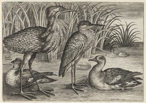  door Adriaen Collaert