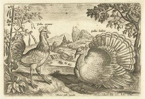 Twee hoenderen in een landschap