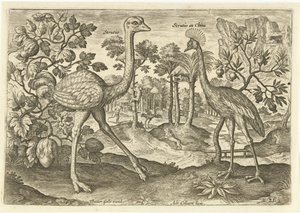 Twee loopvogels in een landschap door Adriaen Collaert