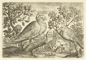 Twee vogels in een landschap door Adriaen Collaert