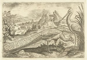 Twee vogels in een landschap door Adriaen Collaert