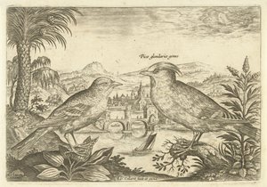 Twee vogels in een landschap door Adriaen Collaert