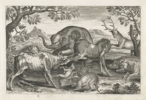 Vechtende dieren Vierpotige dieren (serie titel) Animalivm Qvaddrvpedvm (serie titel) door Adriaen Collaert