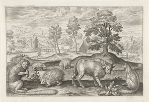 Verschillende dieren