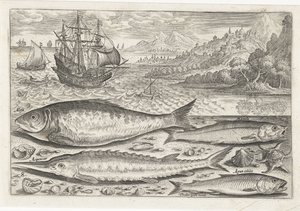 Vier vissen op het strand door Adriaen Collaert