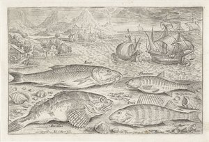 Vier vissen op het strand door Adriaen Collaert