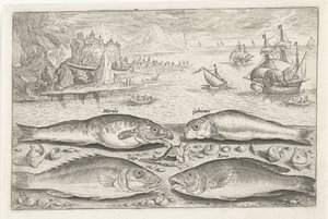 Vier vissen op het strand door Adriaen Collaert