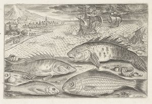 Vier vissen op het strand door Adriaen Collaert