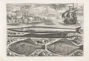 Vier vissen op het strand door Adriaen Collaert