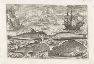 Vier vissen op het strand door Adriaen Collaert