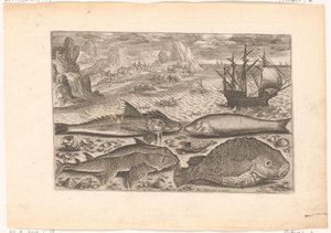 Vier vissen op het strand door Adriaen Collaert