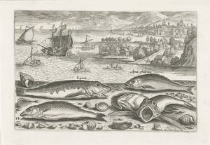 Vijf vissen op het strand door Adriaen Collaert