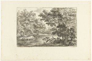 Landschap met meertje