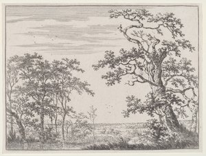 Landschap met een Stroom en een Oude Boom door Adriaen Hendricks Verboom