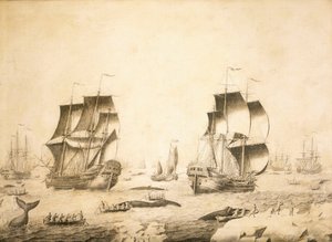 Walvisvaarders in het ijs door Adriaen or Abraham Salm
