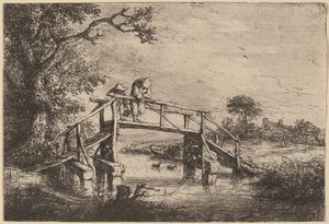 De visser