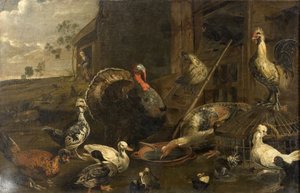 Kippen, eenden en een kalkoenhaan
