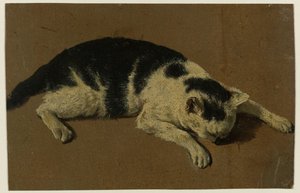 Kat liggend met de kop tussen de voorpoten door Adriaen van de Velde (attributed to)