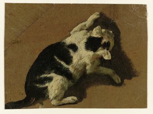 Kat spelend bij een muur door Adriaen van de Velde (attributed to)