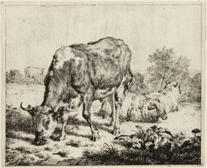 Een koe en drie schapen door Adriaen van de Velde