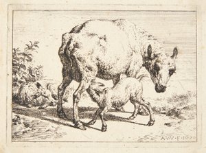 Schapen en twee lammeren door Adriaen van de Velde