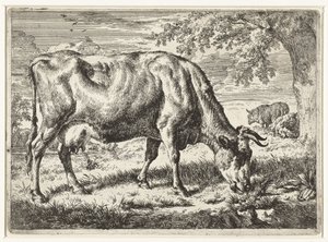 Grazende koe en twee schapen door Adriaen van de Velde