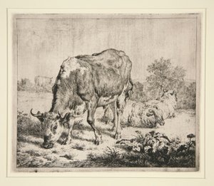 De bonte os en de drie schapen door Adriaen van de Velde