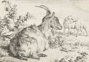 Liggende geit, 1670 door Adriaen van de Velde