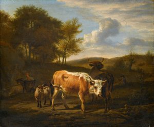 Bergachtig landschap met koeien