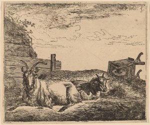 Liggende geiten door Adriaen van de Velde