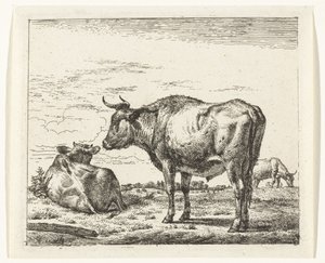 Staande stier