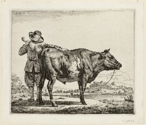 De Koeherder en de Stier door Adriaen van de Velde