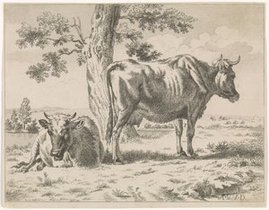 Twee koeien bij een boom door Adriaen van de Velde