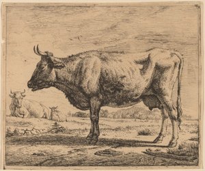 Twee Koeien en een Schaap door Adriaen van de Velde